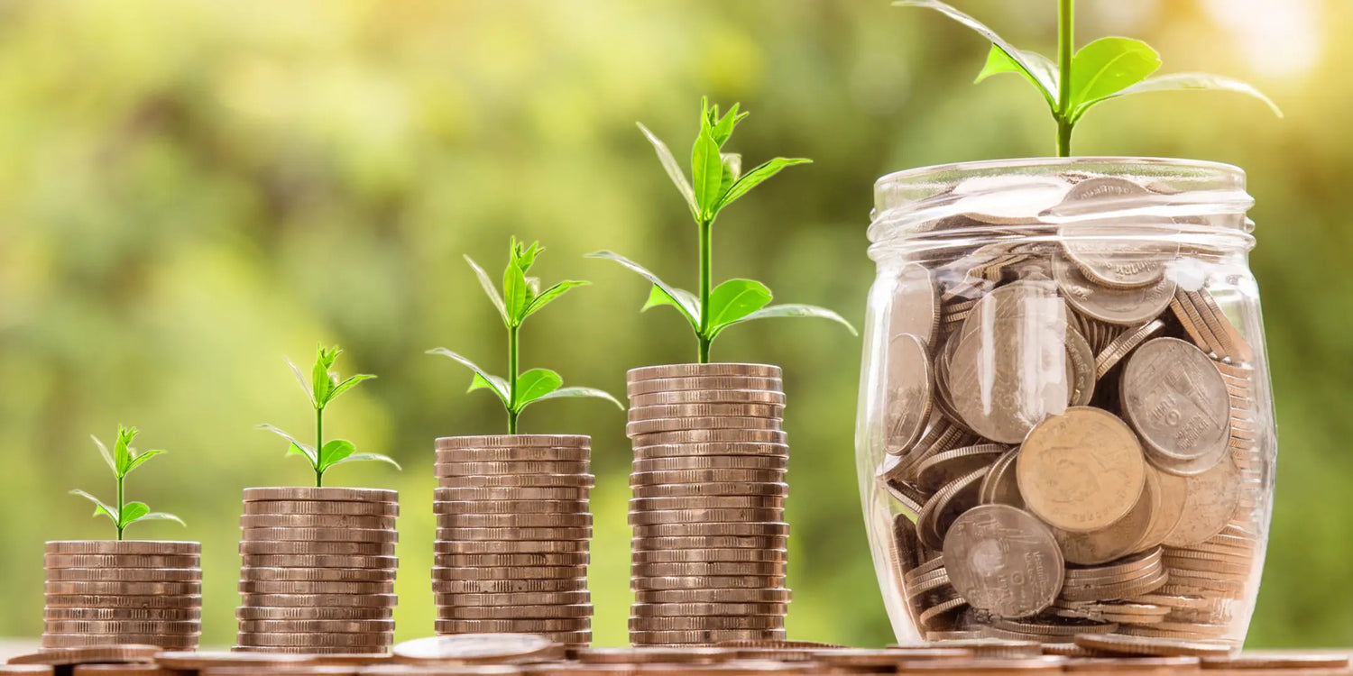 Perspectivas Económicas del País para el 2024: ¿Es un buen momento para Iniciar un negocio? - Grupo Belleza