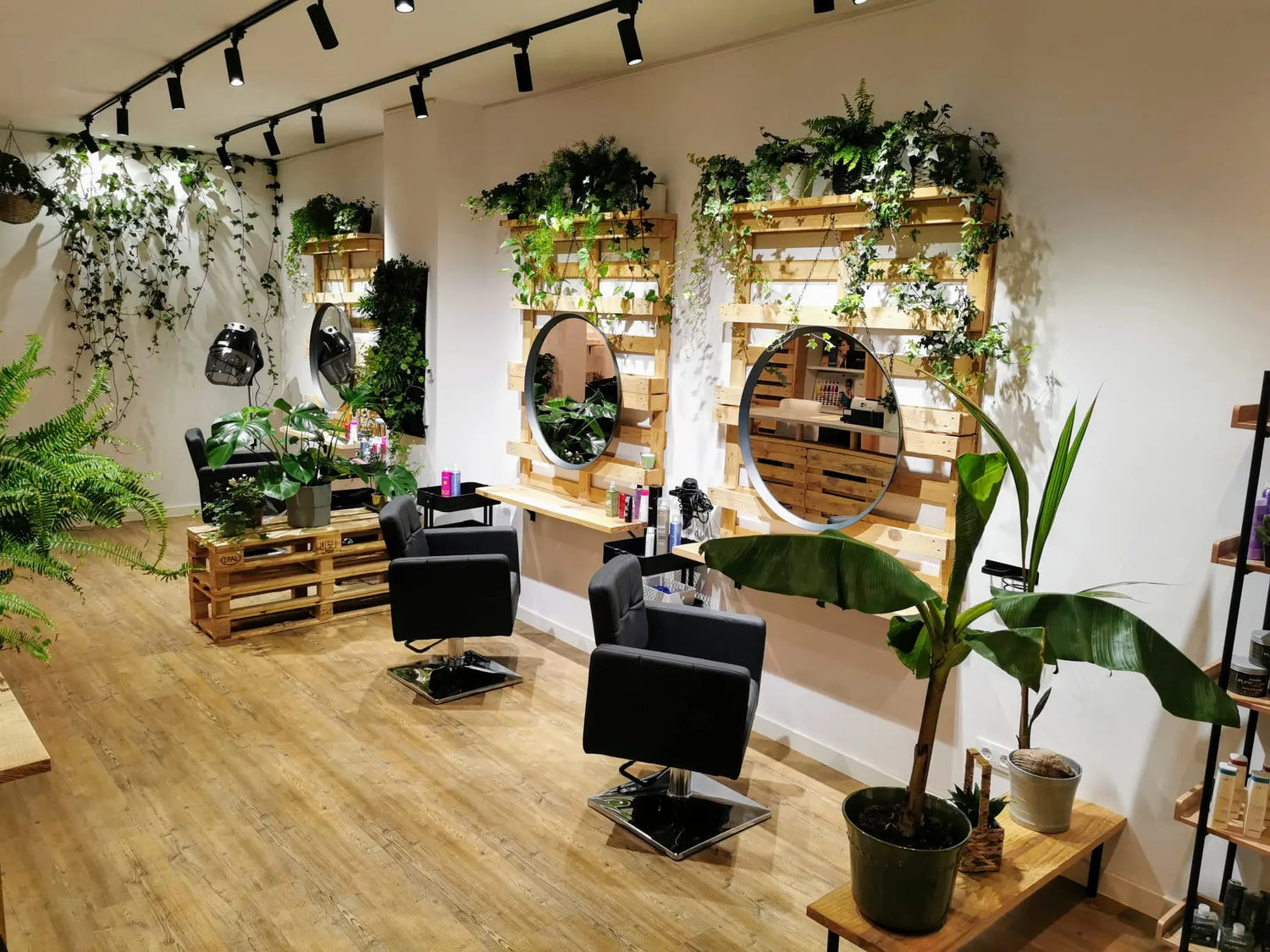 Proyecto Gijón - Grupo Belleza