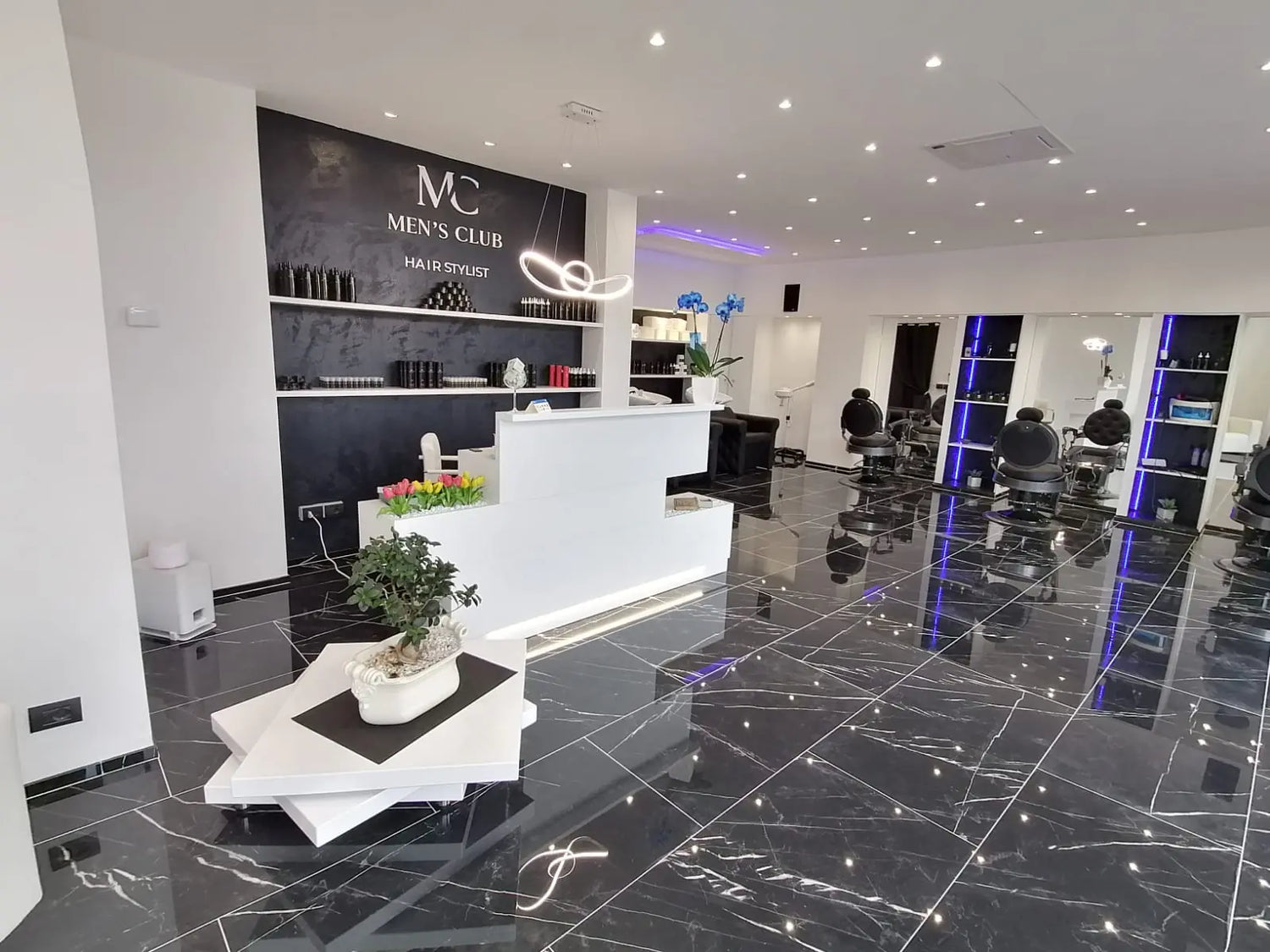 Proyecto Olgiate Olona - Grupo Belleza