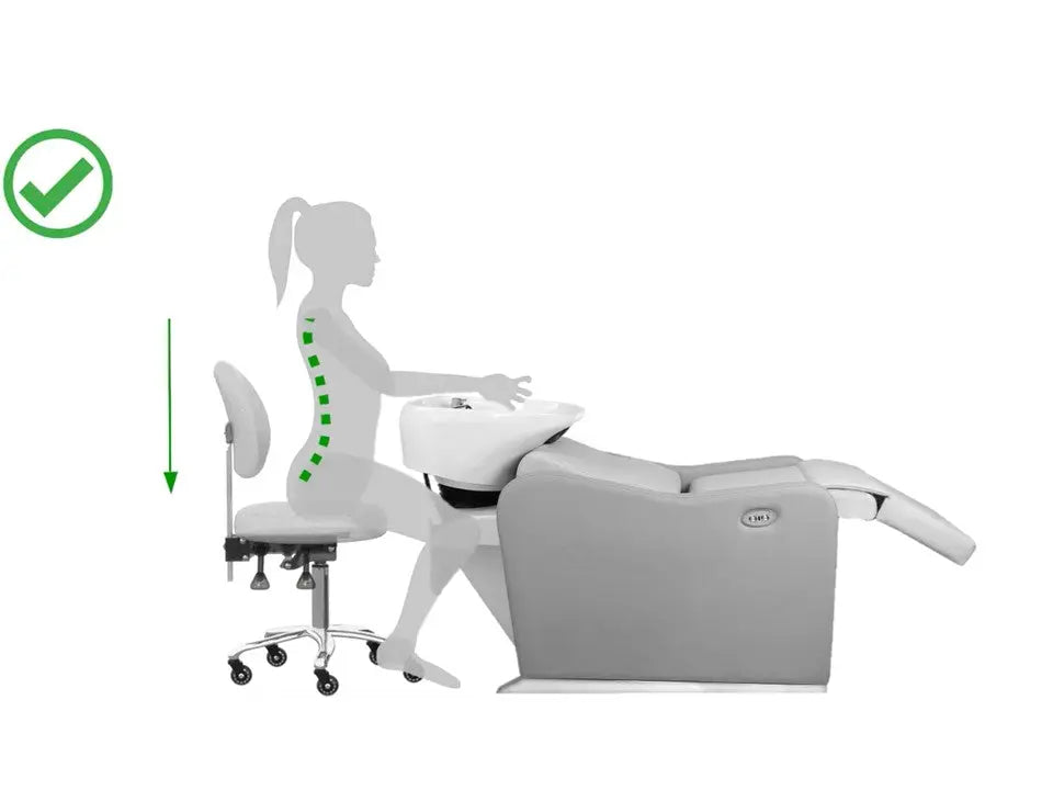 Bienestar y confort - Grupo Belleza Vera Electric Shampoo Bowl