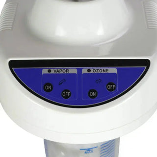 Vaporizador facial ALDO Negro - MIR